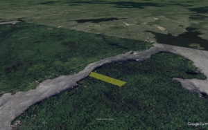 Screenshot 2025-08-19 at 9.19.05 PM