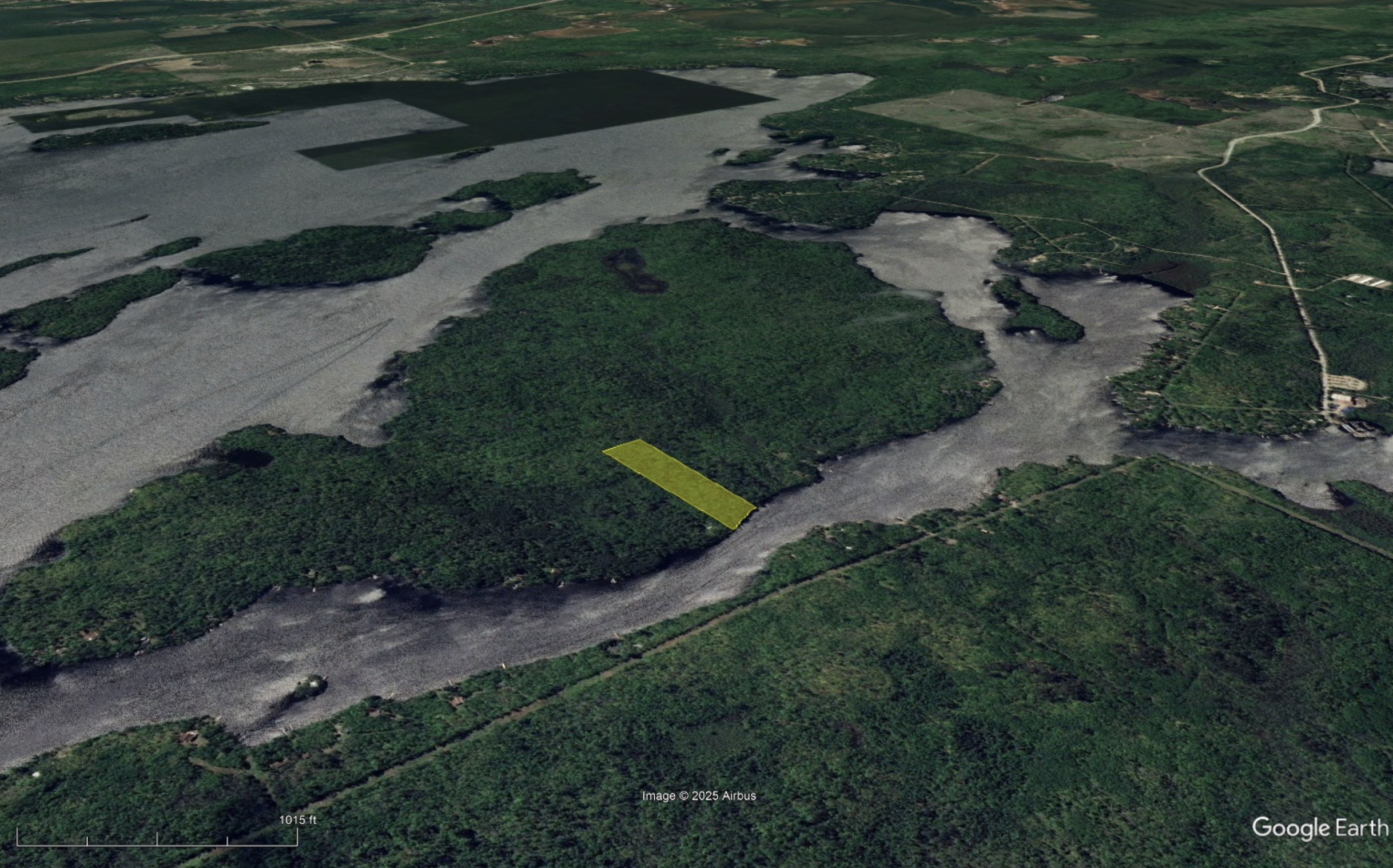 Screenshot 2025-08-19 at 9.19.13 PM