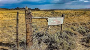 00bbc23cb82be9de805449863f39aab8-uncropped_scaled_within_1536_1152