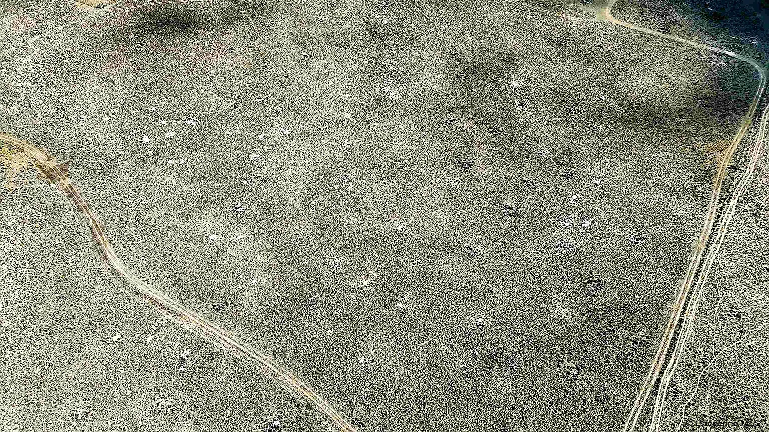 4c5a829b8e780a4c6daeb555656d2b92-uncropped_scaled_within_1536_1152