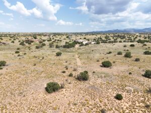 DJI_20250812113001_0378_D