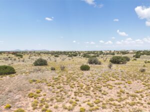 DJI_20250812113014_0381_D