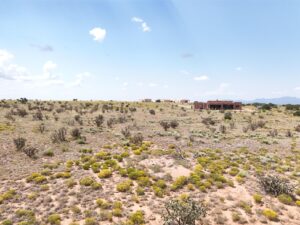 DJI_20250812113024_0385_D