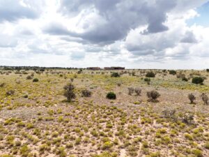 DJI_20250812113029_0387_D