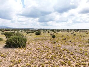DJI_20250812113034_0389_D