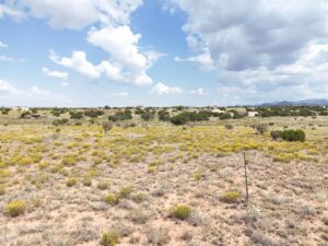 DJI_20250812113046_0392_D