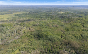 Screenshot 2025-09-04 at 12.27.00 AM