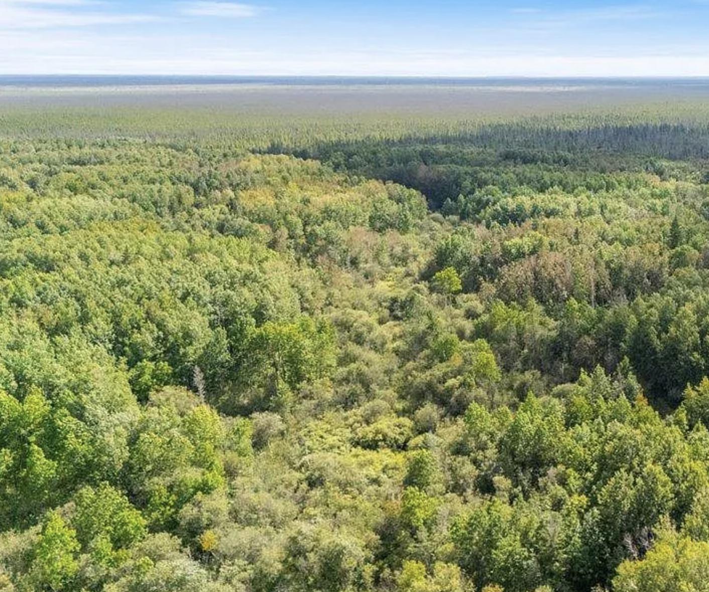 Screenshot 2025-09-04 at 12.29.15 AM