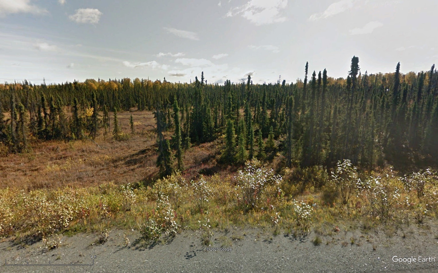 Streetview 2