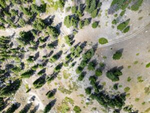 Wilco Stillwater Dipilla Drone-09(1)