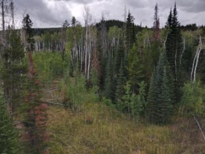 dji_fly_20220920_131840_985_1663701533730_photo