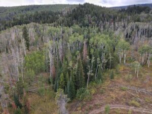 dji_fly_20220920_131900_986_1663701551098_photo