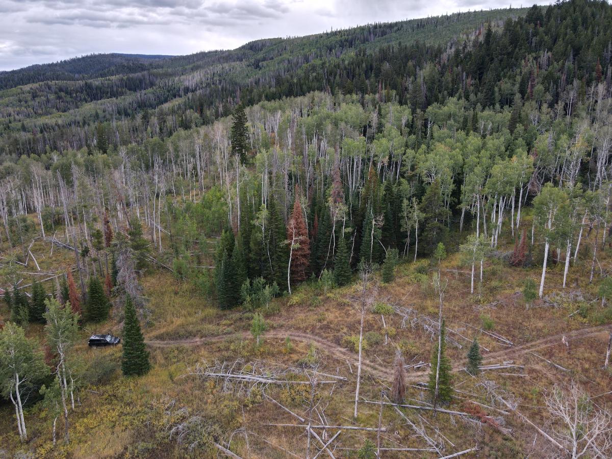 dji_fly_20220920_131916_987_1663701568202_photo