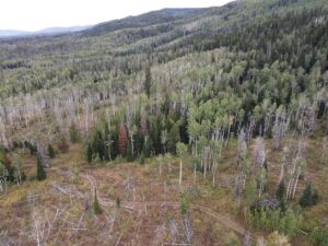 dji_fly_20220920_131928_988_1663701580368_photo