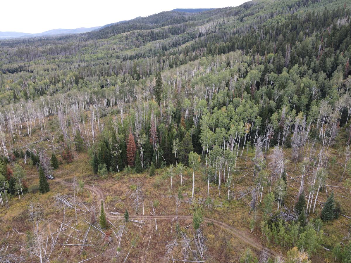 dji_fly_20220920_131928_988_1663701580368_photo