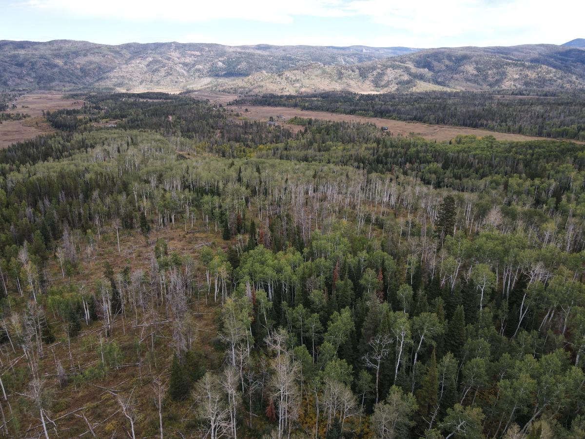 dji_fly_20220920_132010_991_1663701625963_photo
