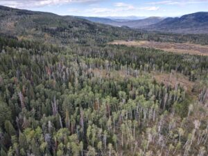 dji_fly_20220920_132050_992_1663701669881_photo