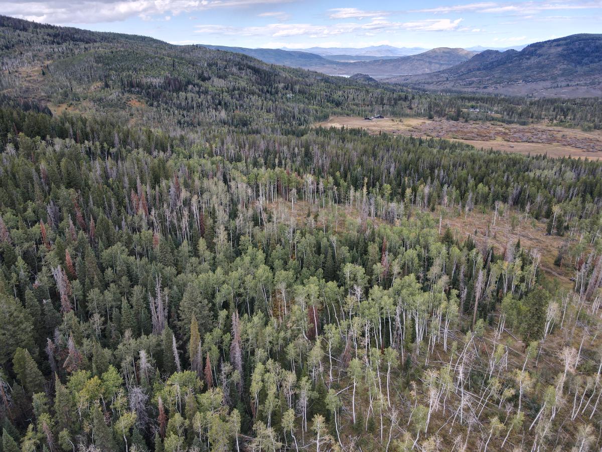 dji_fly_20220920_132050_992_1663701669881_photo