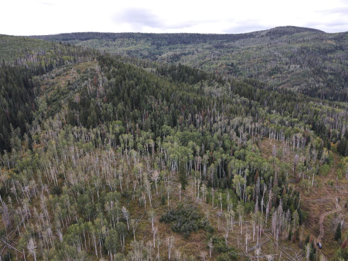 dji_fly_20220920_132130_994_1663701761194_photo