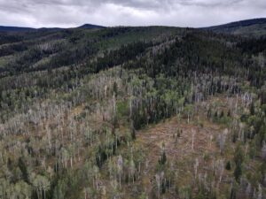dji_fly_20220920_132256_997_1663701788266_photo