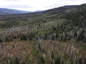 dji_fly_20220920_132410_1_1663701859588_photo
