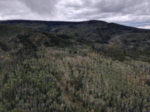 dji_fly_20220920_132924_4_1663702177751_photo