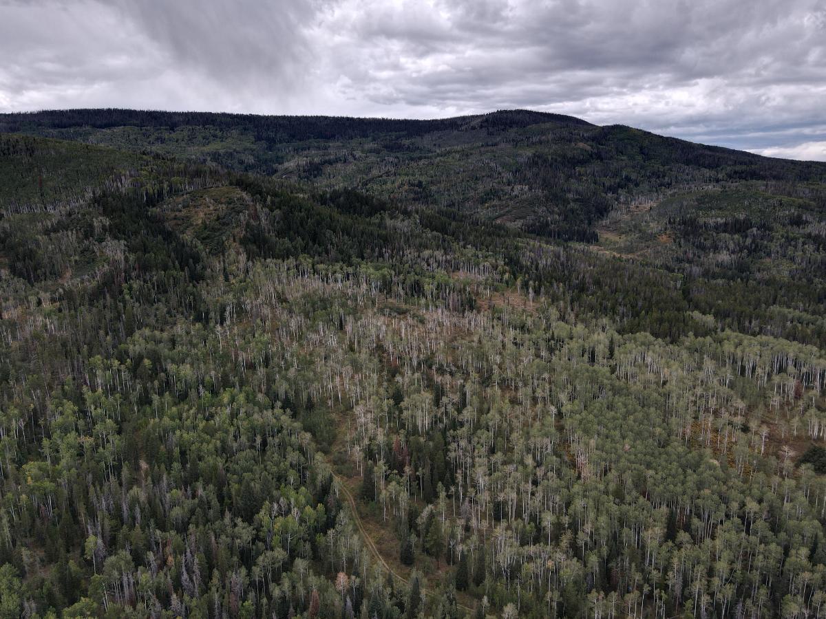 dji_fly_20220920_132924_4_1663702177751_photo