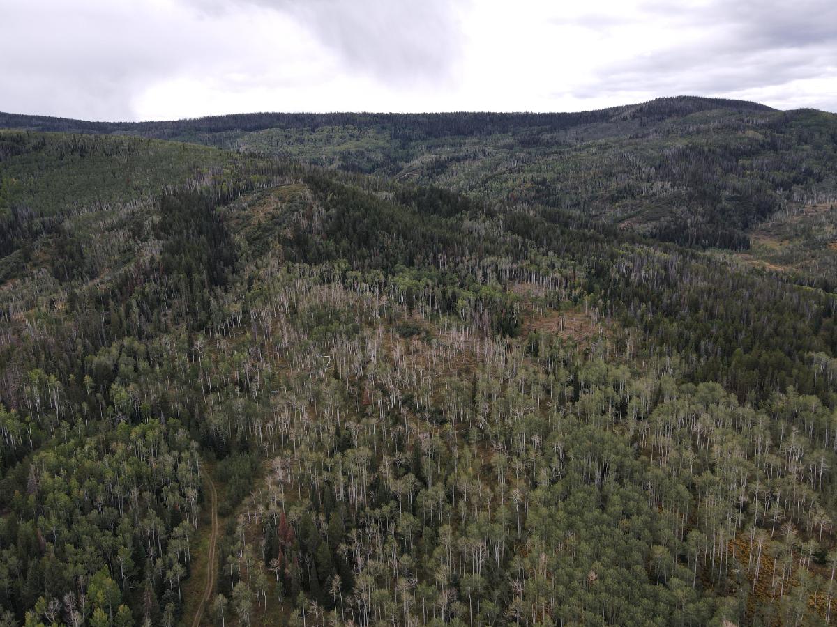 dji_fly_20220920_132942_5_1663702195428_photo