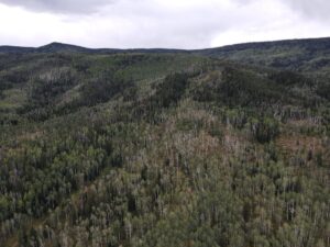 dji_fly_20220920_133000_6_1663702215628_photo