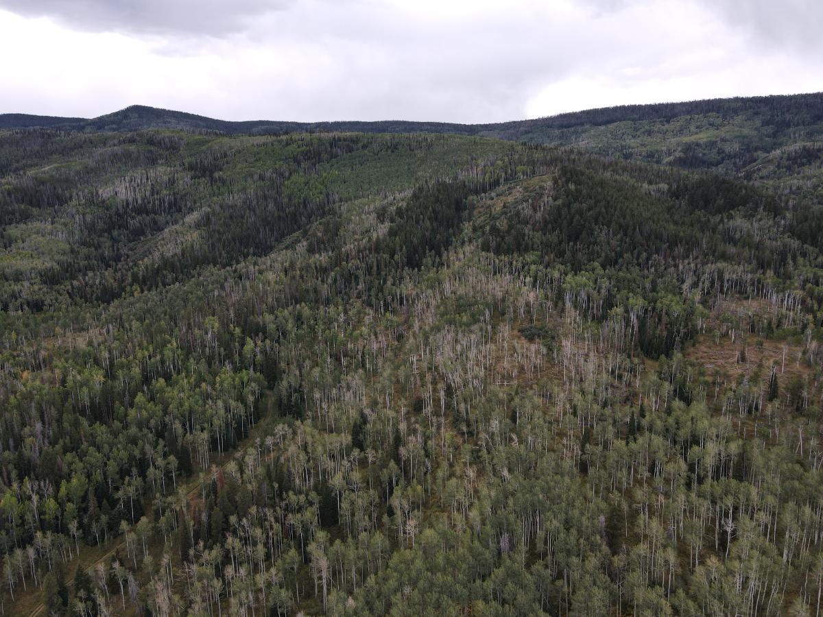dji_fly_20220920_133000_6_1663702215628_photo