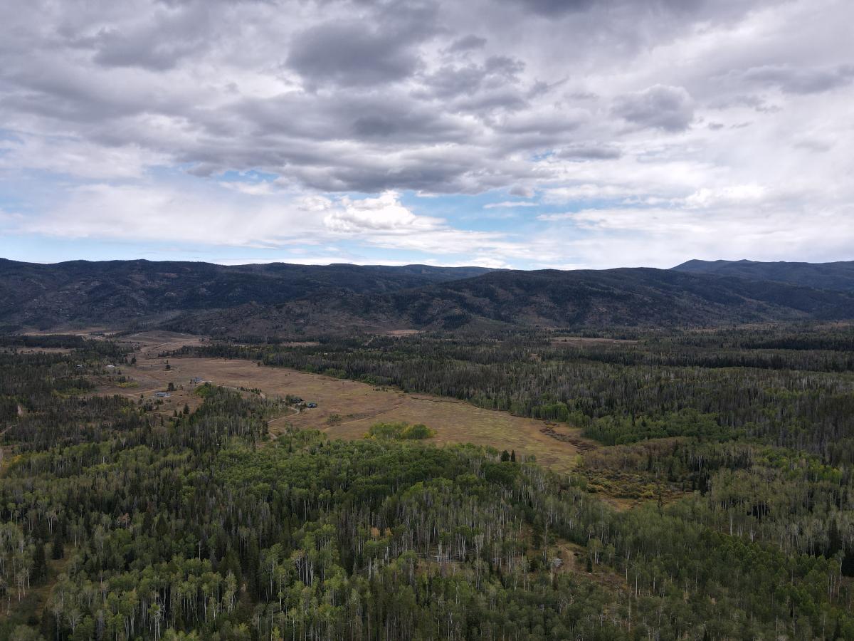 dji_fly_20220920_133234_10_1663702394551_photo