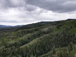 dji_fly_20220920_133236_11_1663702399056_photo