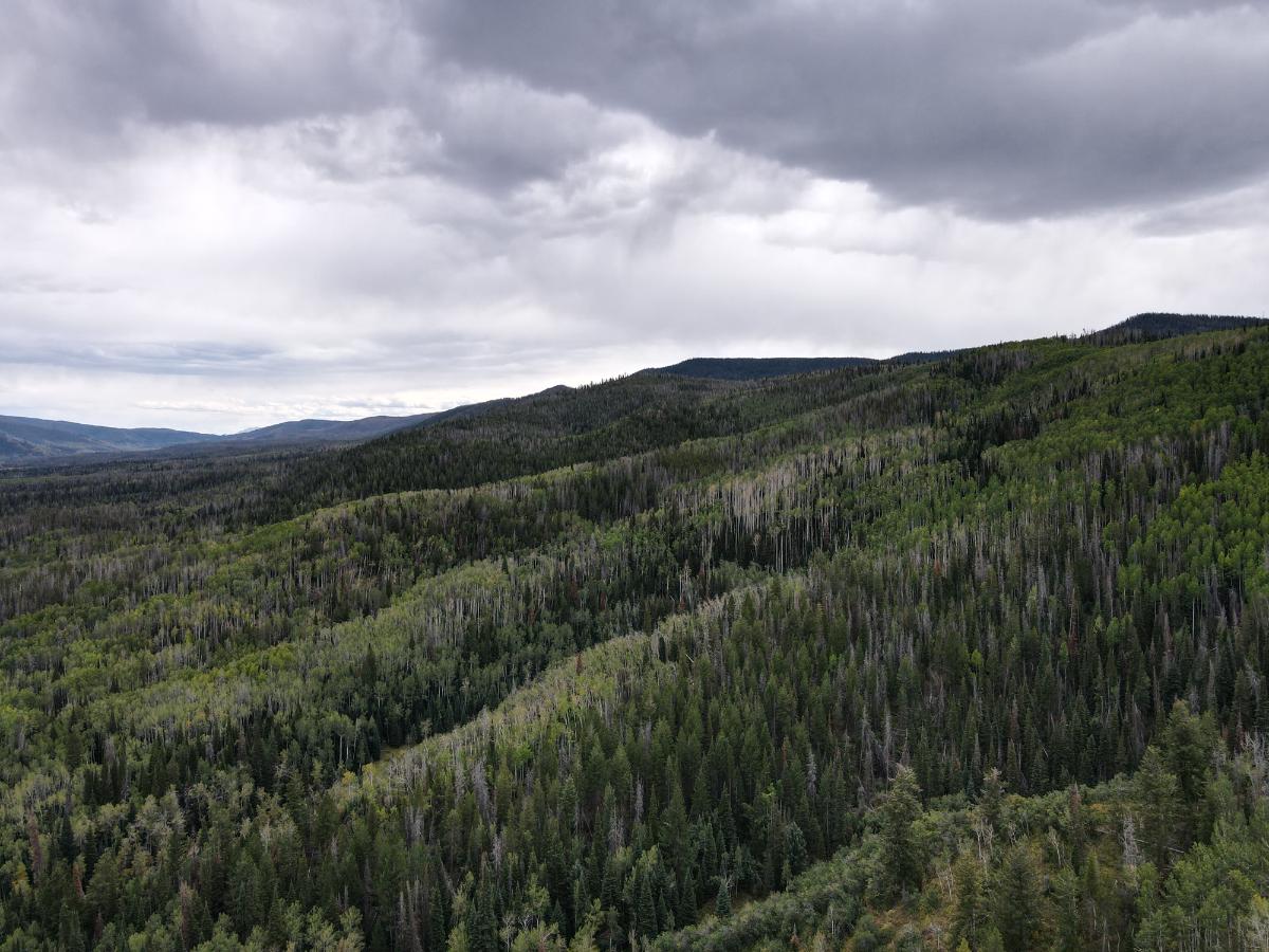 dji_fly_20220920_133236_11_1663702399056_photo