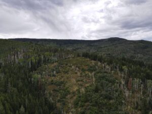 dji_fly_20220920_133242_12_1663702404074_photo