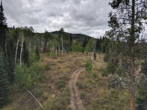 dji_fly_20220920_133442_13_1663702493056_photo
