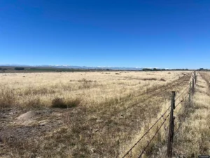 03b38cbe14bb6234337375baae50d085-uncropped_scaled_within_1536_1152