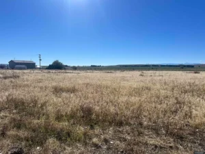 0521bd11eac7ec6aa86a74d59dcbaebd-cc_ft_768