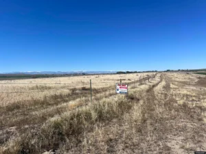 14354d9c5cea3efa42556c4c945dd2ac-uncropped_scaled_within_1536_1152