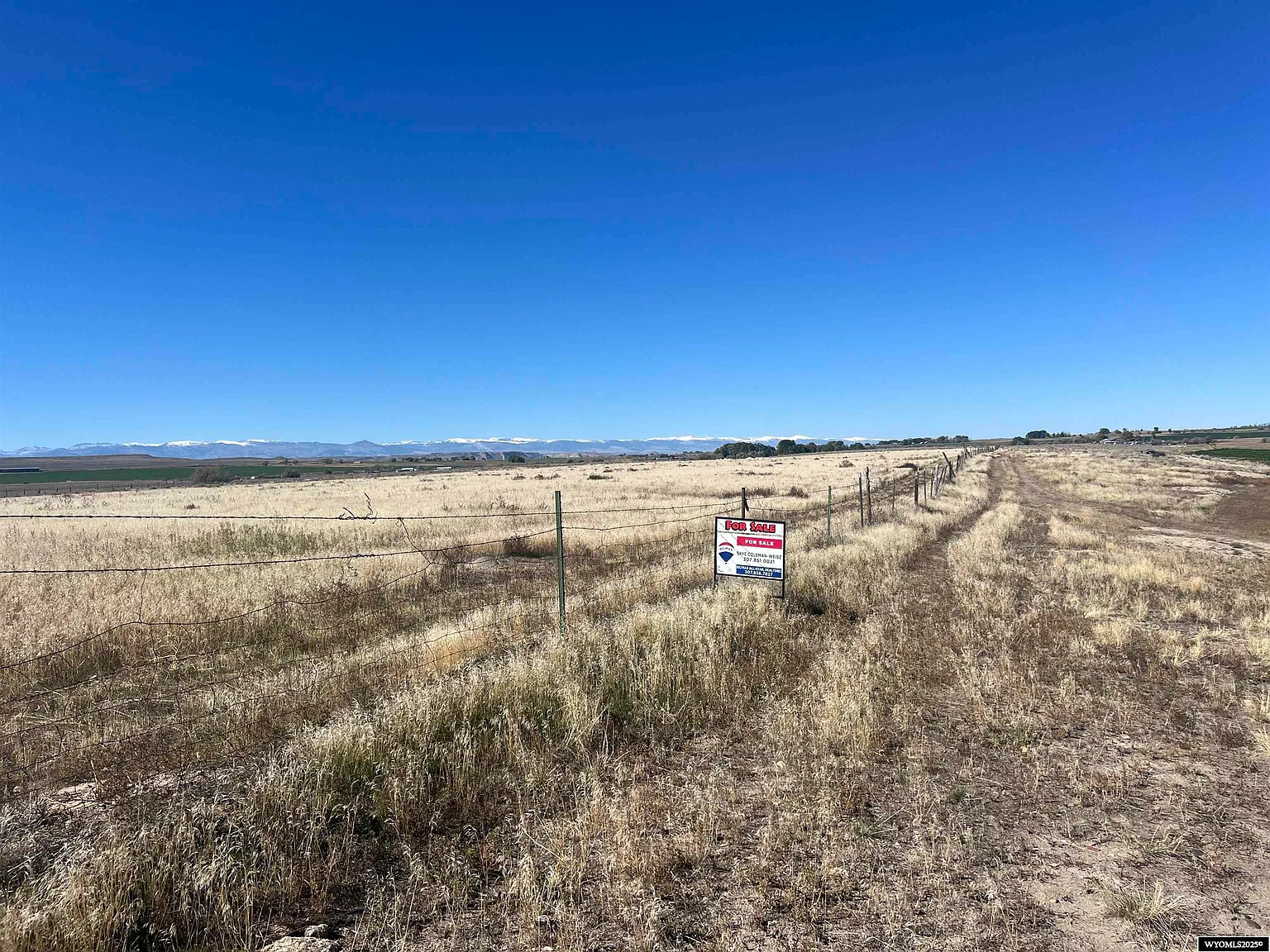 14354d9c5cea3efa42556c4c945dd2ac-uncropped_scaled_within_1536_1152