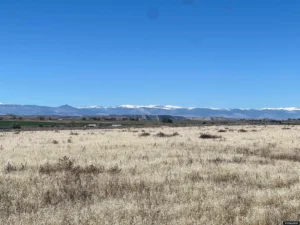 4a7bf9022c88bd1c228e337e06983b76-uncropped_scaled_within_1536_1152