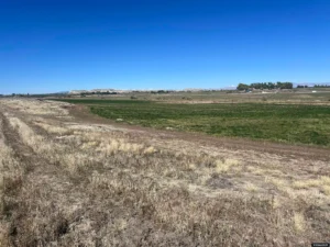 6069e90fa82db1dd834f1897fc0f438e-uncropped_scaled_within_1536_1152