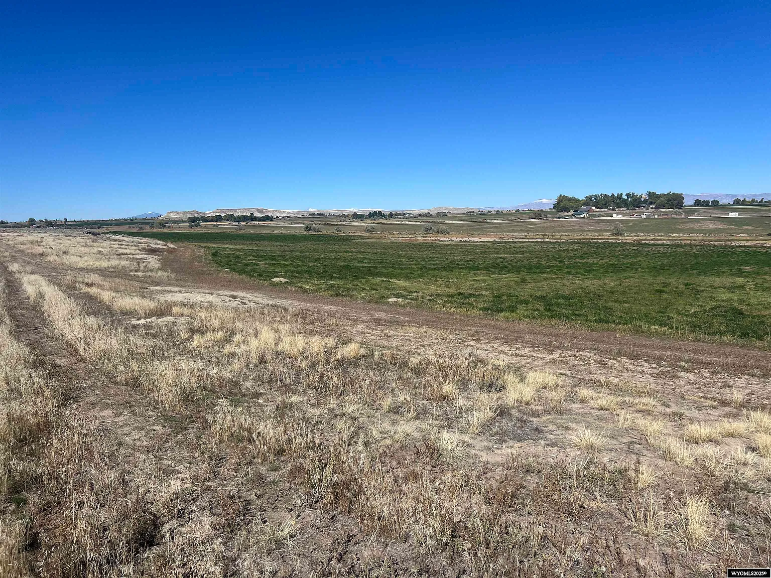 6069e90fa82db1dd834f1897fc0f438e-uncropped_scaled_within_1536_1152