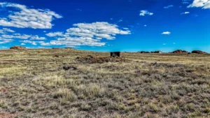 6b0e85a05482fececc14059213e7553a-uncropped_scaled_within_1536_1152 (1)