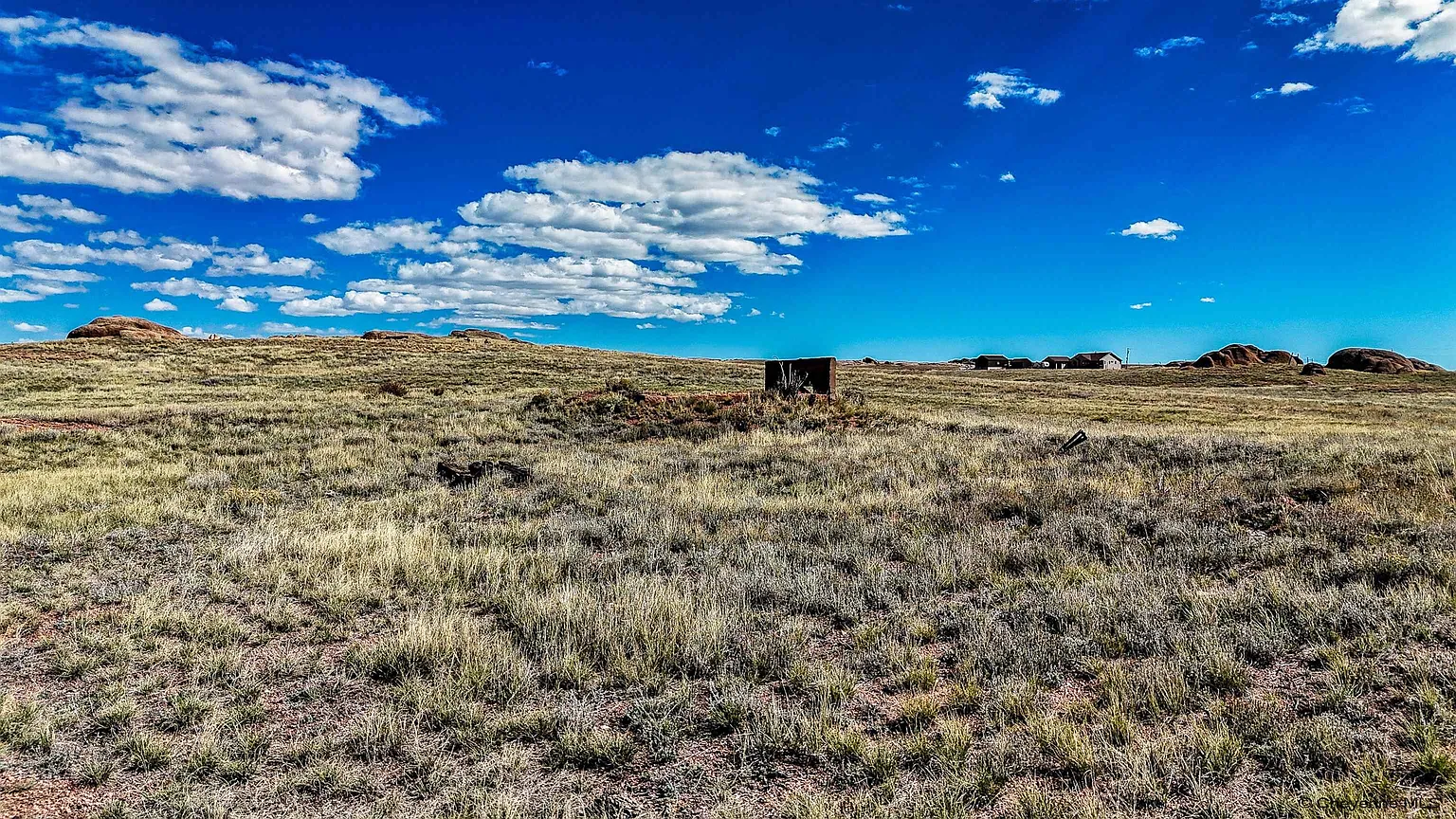 6b0e85a05482fececc14059213e7553a-uncropped_scaled_within_1536_1152 (1)