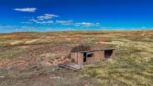 6cdbae5b45dd99ec665aec17ee1c253f-uncropped_scaled_within_1536_1152