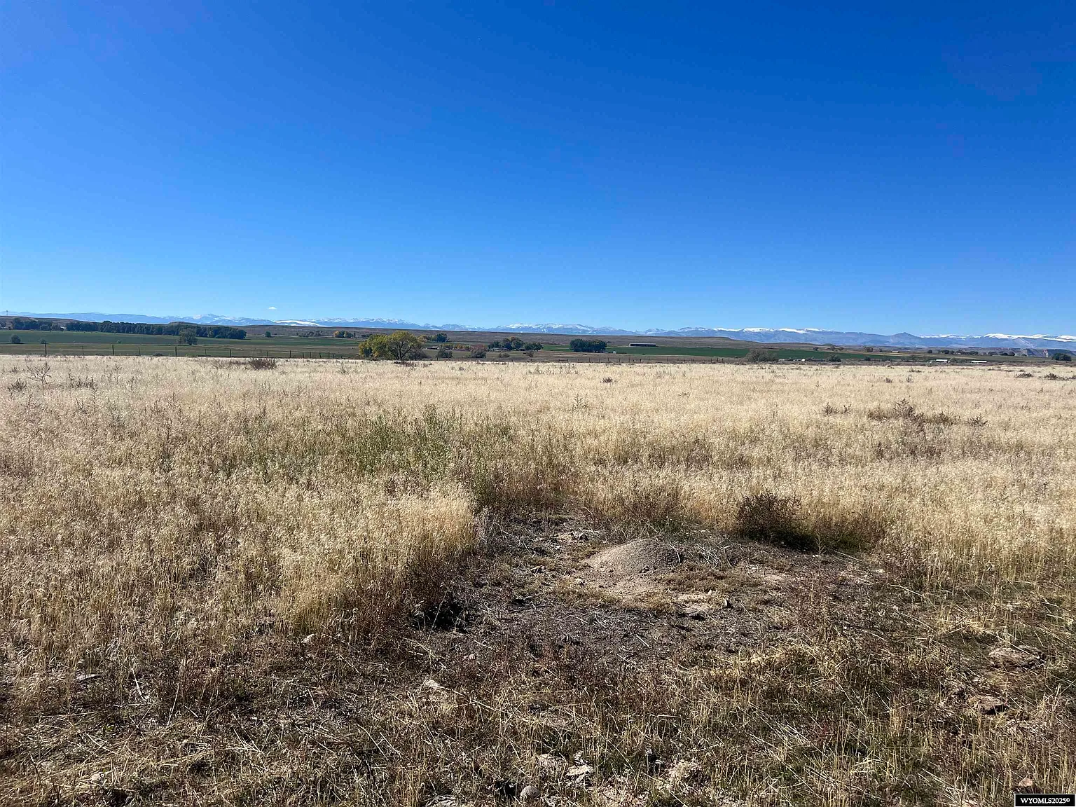 705186674190890f9aeac81fb54a8da0-uncropped_scaled_within_1536_1152