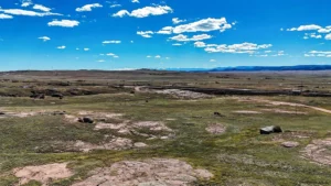 85a7a099c816b0da63c7c29c84dd45e3-uncropped_scaled_within_1536_1152