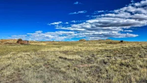 8ee80c1538e3c3d6a2c88ad0699ec24c-uncropped_scaled_within_1536_1152