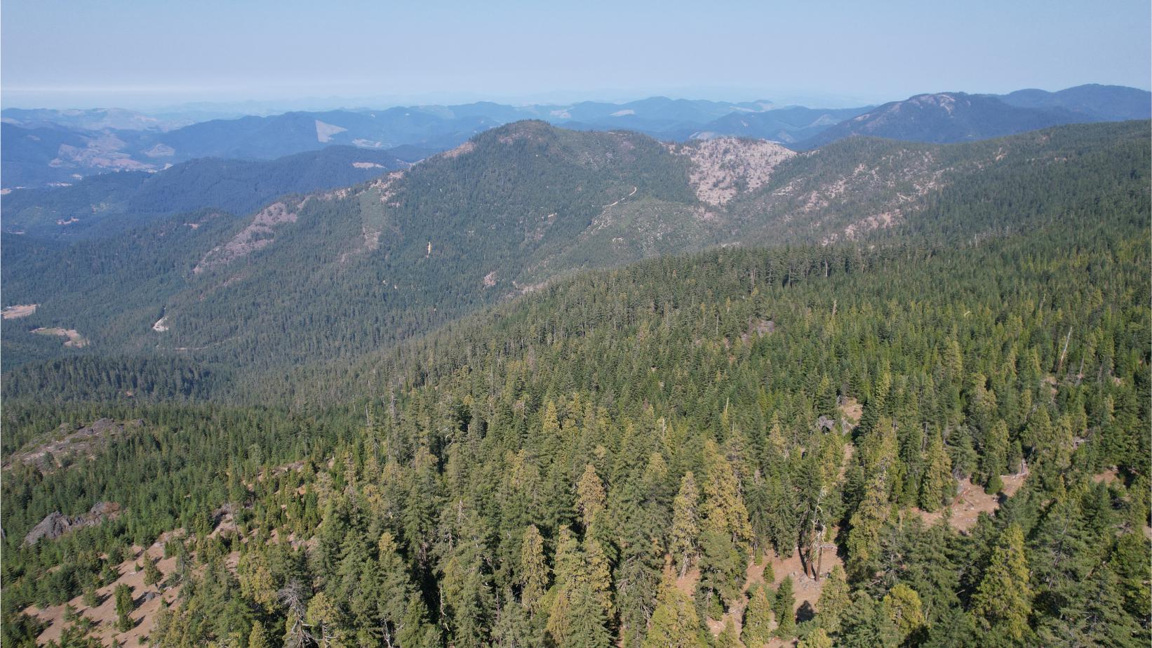 DJI_0301