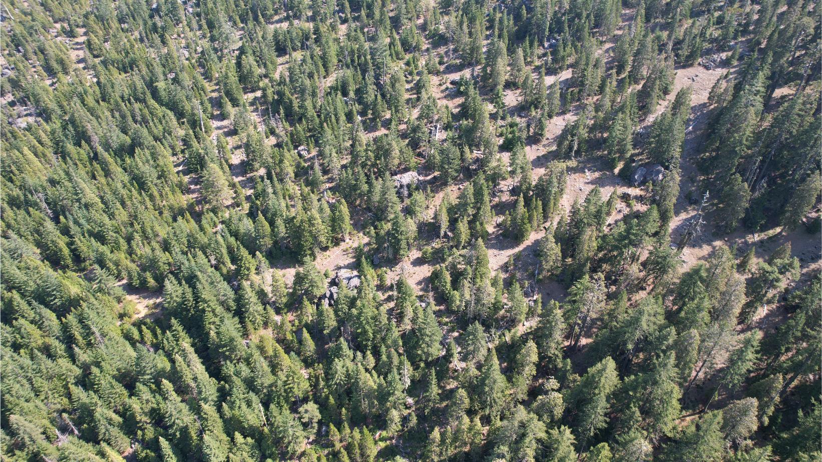 DJI_0315